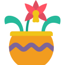 orchidée 