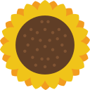 girasol icon