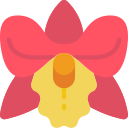 orquídea