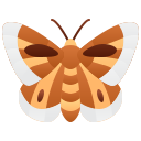 mariposa icon