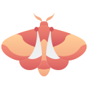 polilla icon