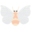 polilla icon