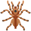 tarántula icon