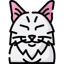 chat