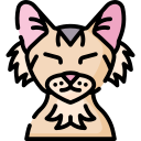chat