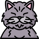 chat