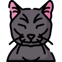 Black cat icon download number: #18779 - Daily updated free icons and png  images for your projects. All images use to free for personal…