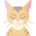chat