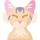 chat