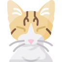 chat