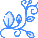 blume
