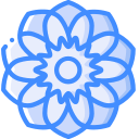 blume