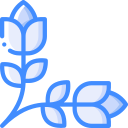blume