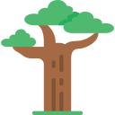 Baobab icon