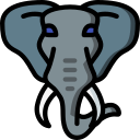 Elefante 