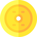 moneda icon