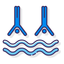 synchron schwimmen 