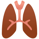 pulmones humanos icon