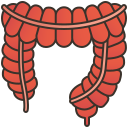 intestino grueso icon