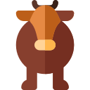 vaca icon