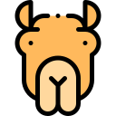 camello icon