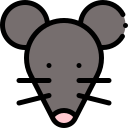 ratón icon