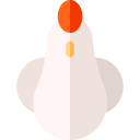 pollo icon