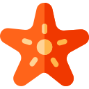 estrella de mar icon