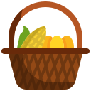 cesta icon