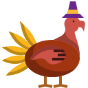 pavo icon