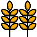 trigo icon