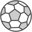 pelota icon