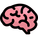 Brain icon