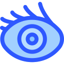 ojos icon