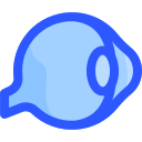 ojo icon