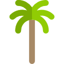 palmera