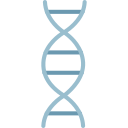 estructura de adn