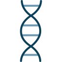 estructura de adn