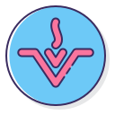 vesta icon