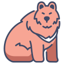 oso icon