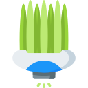 plantas icon