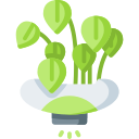 plantas icon