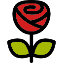 rosa icon