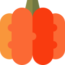 Pumpkin icon