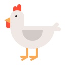 pollo