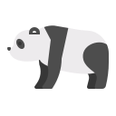 panda 