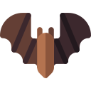 murciélago 