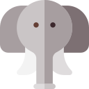 elefante