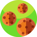 galletas icon