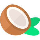 coco icon